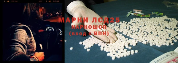 стафф Алзамай