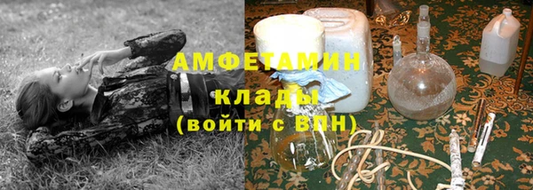 стафф Алзамай