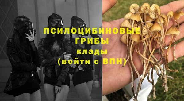 трава Алексеевка