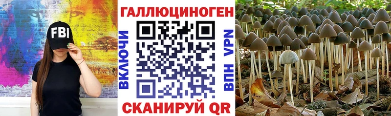 Галлюциногенные грибы Psilocybe  blacksprut онион  Менделеевск 